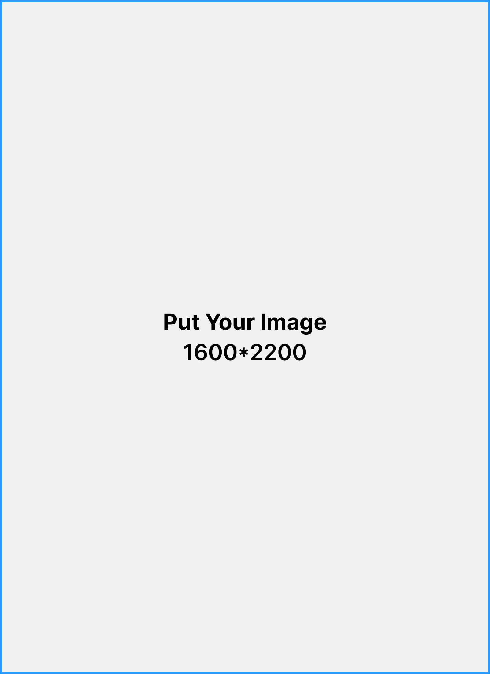 Portfolio 26